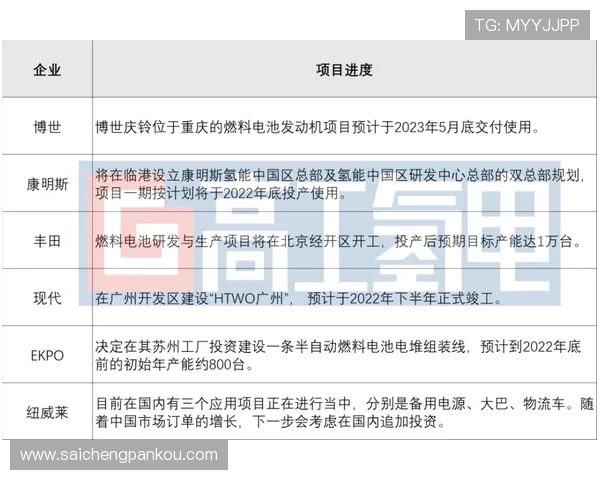 波胆赔率500电子真人防骗避坑技巧全解析